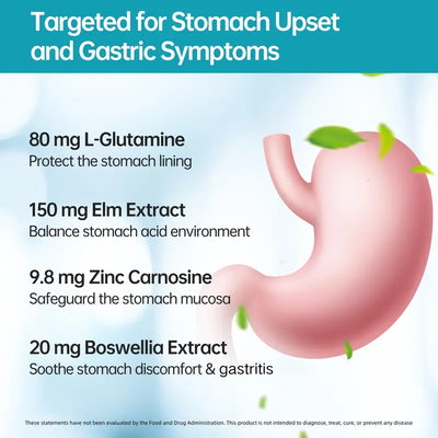 Complete Gut & Stomach Probiotic
